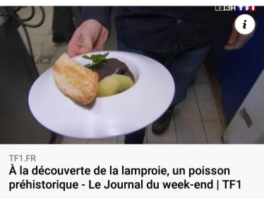 video TF1.jpg