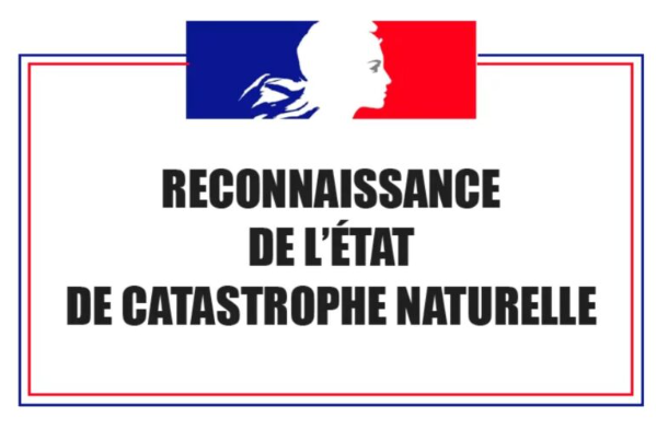 Capture d’écran 2026-02-26 084329.png